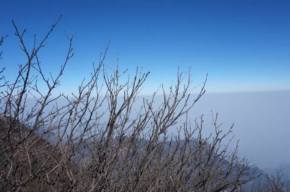 峨眉山生态猴区路线_峨眉山自然猴区旅游攻略_峨眉山自然生态猴区介绍