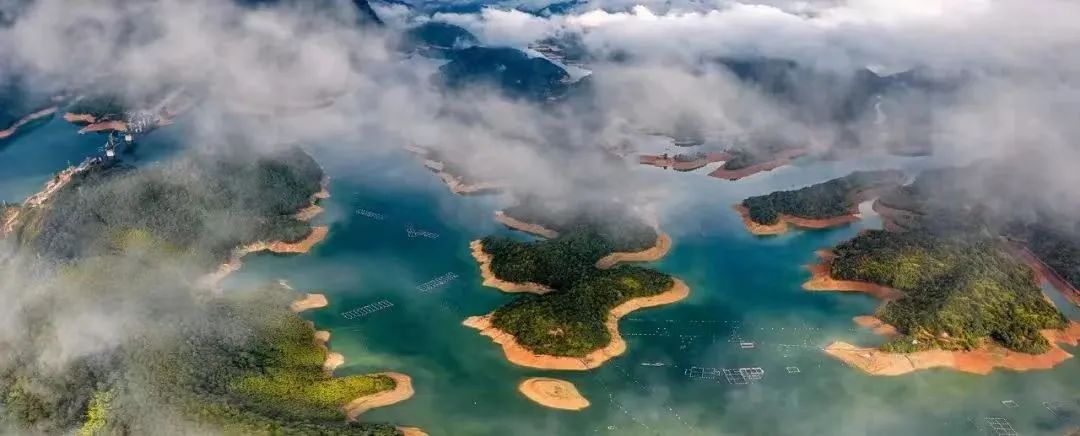 永定土楼旅游攻略_景点永定土楼_永定土楼旅游线路