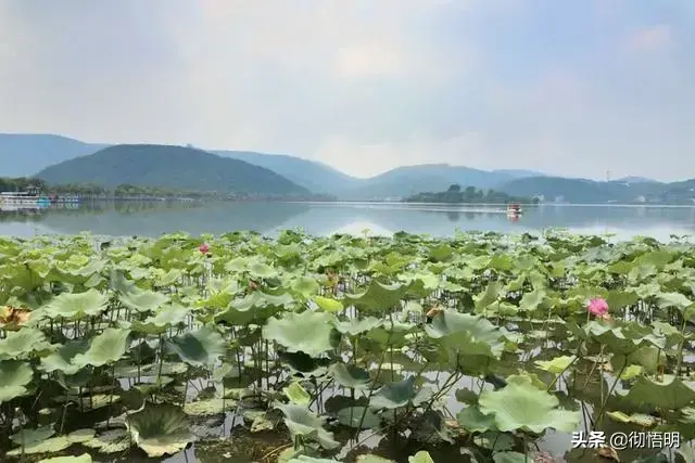 2077杰克的墓碑在哪_最近腋窝有异味怎么回事_南北湖风景区旅游攻略