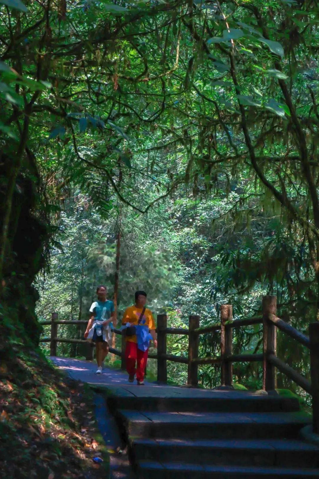 西岭雪山旅游攻略11月_西岭雪山2021_西岭雪山山门