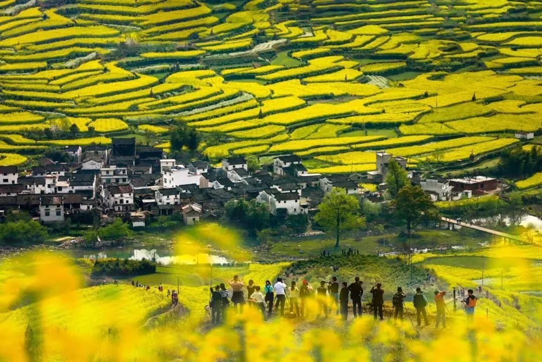 婺源三清山旅游攻略二日游_婺源和三清山旅游攻略_婺源三清山一日游