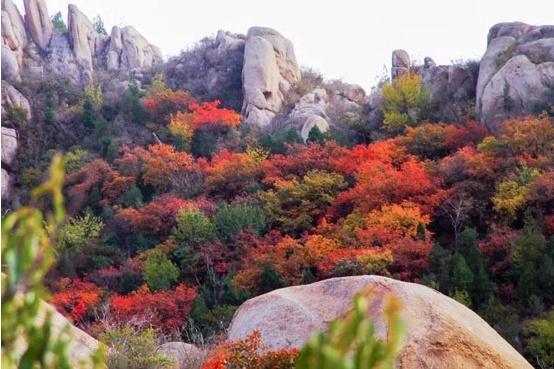 妙峰山风景图片_妙峰山风景区好玩吗_妙峰山风景区旅游攻略