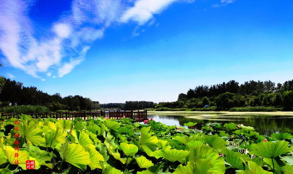 天津绿博园一日游攻略_天津绿博园旅游攻略_天津绿博园门票价格