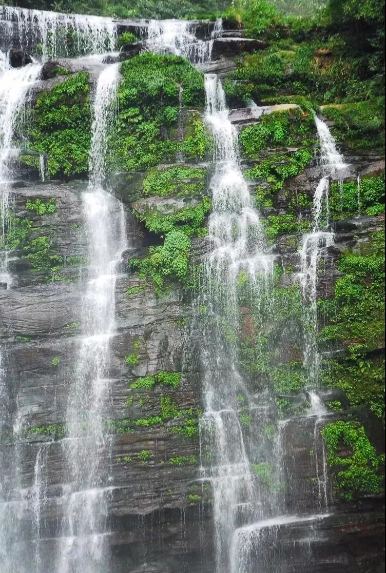 彭州蟠龙谷景区门票_彭州蟠龙谷旅游攻略_彭州蟠龙谷好玩吗