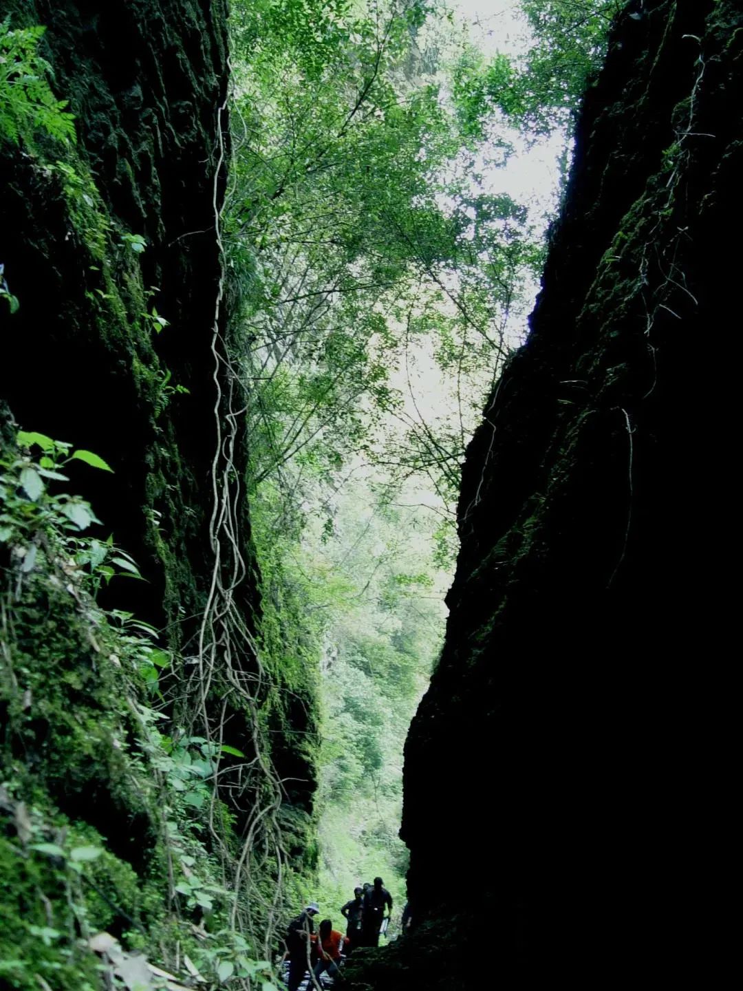 彭州蟠龙谷好玩吗_彭州蟠龙谷景区门票_彭州蟠龙谷旅游攻略