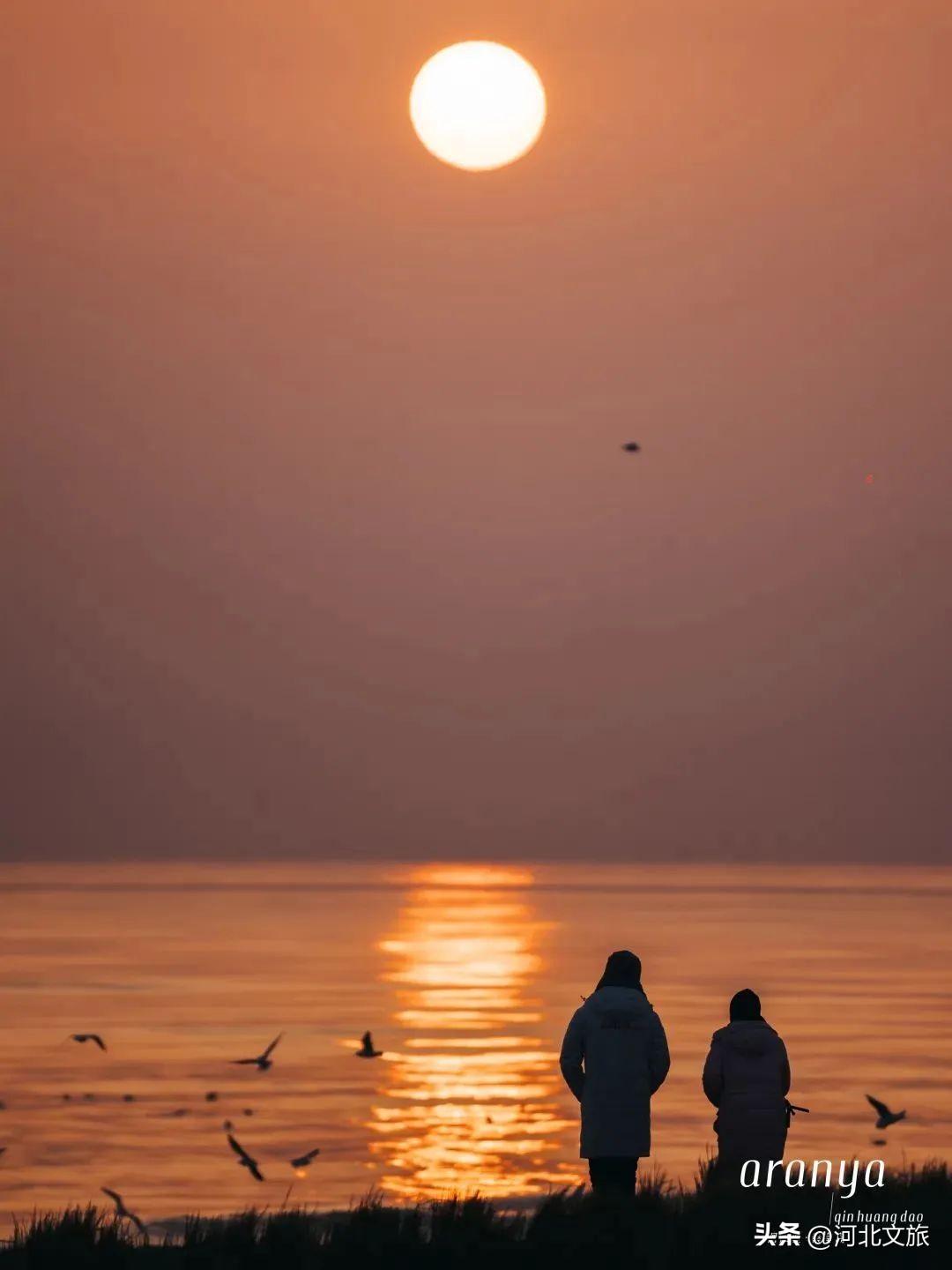 北戴河冬季旅游景点_北戴河冬天旅游攻略_北戴河冬天旅游攻略必玩的景点