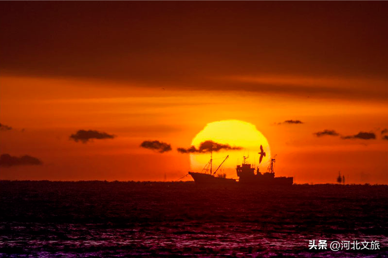 北戴河冬天旅游攻略_北戴河冬季旅游景点_北戴河冬天旅游攻略必玩的景点