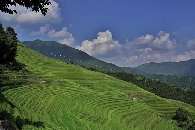 桂林旅游攻略必去景点天气_桂林4天旅游攻略_桂林旅游攻略2天