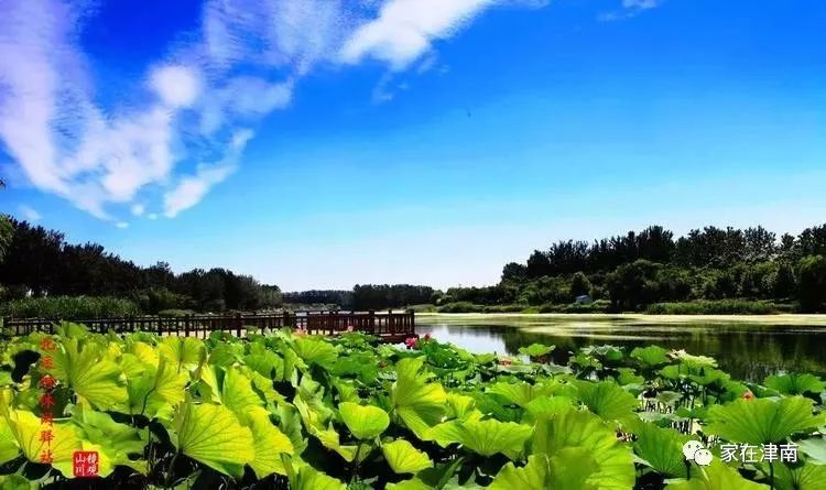 天津绿博园一日游攻略_天津绿博园旅游攻略_天津绿博园的风景和介绍