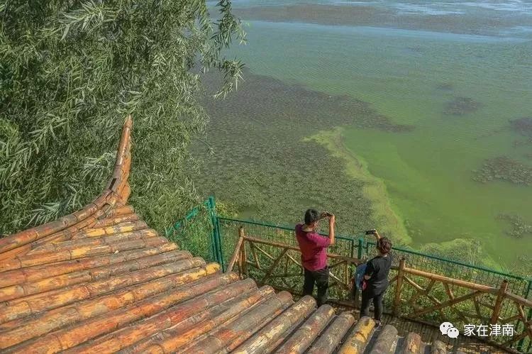 天津绿博园旅游攻略_天津绿博园的风景和介绍_天津绿博园一日游攻略