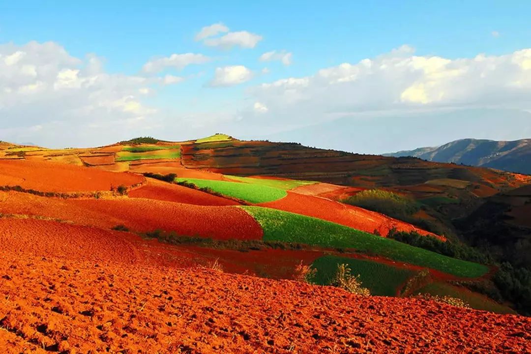 云南自行旅游攻略_云南攻略旅游自由行ppt_云南攻略旅游三日自由行