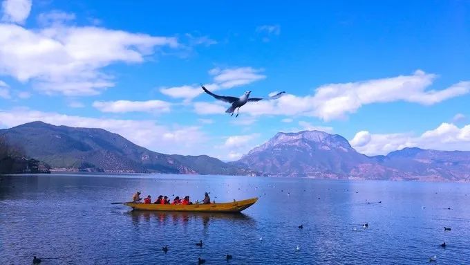 云南攻略旅游自由行ppt_云南攻略旅游三日自由行_云南自行旅游攻略