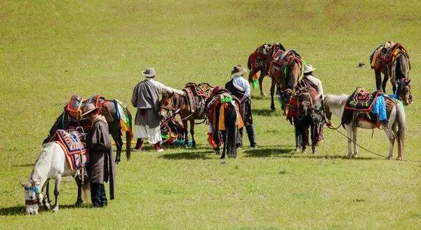 澜沧江大峡谷旅游攻略_澜沧江大峡谷国家公园_澜沧江大峡谷门票