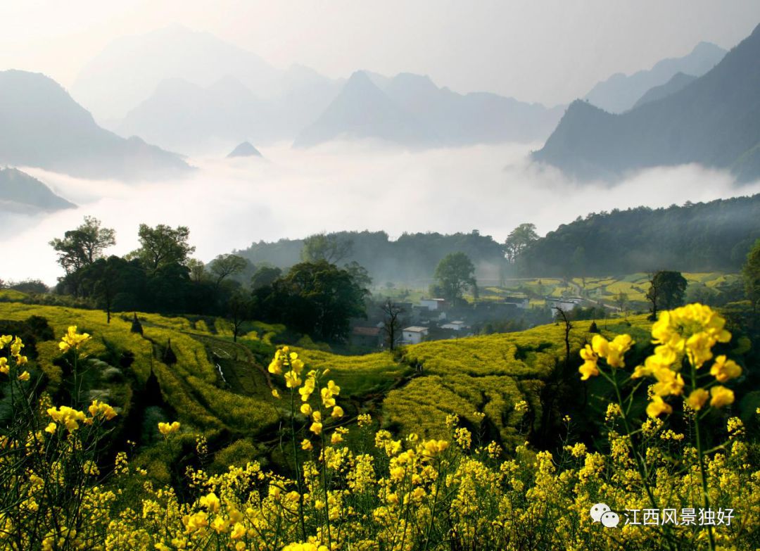 婺源西线旅游攻略_婺源西线旅游景点_婺源西线最值得去的三个景点