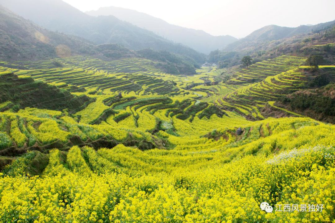 婺源西线旅游景点_婺源西线最值得去的三个景点_婺源西线旅游攻略