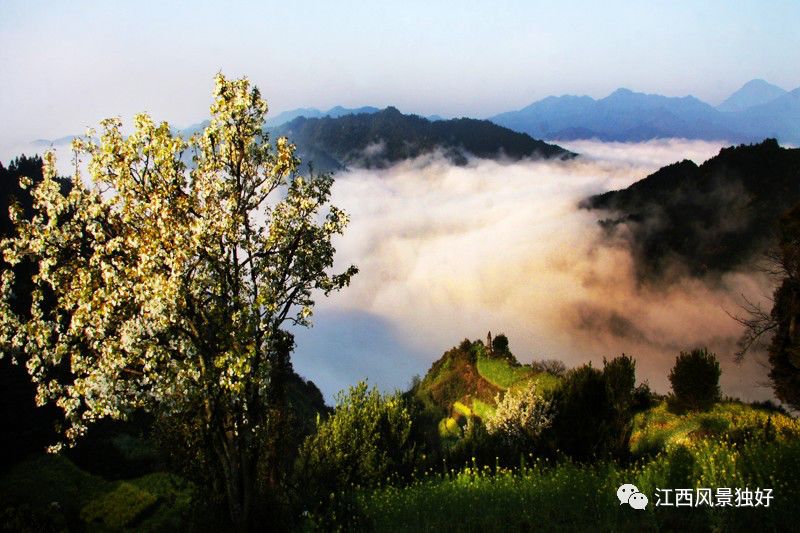 婺源西线旅游景点_婺源西线最值得去的三个景点_婺源西线旅游攻略
