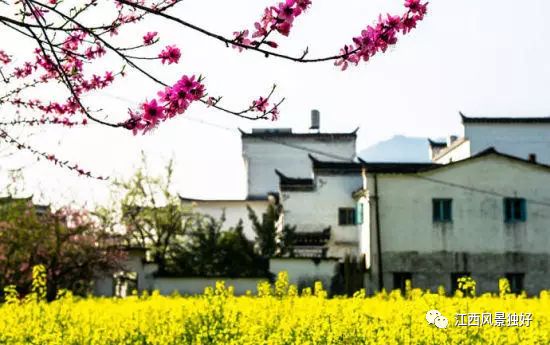 婺源西线旅游景点_婺源西线最值得去的三个景点_婺源西线旅游攻略