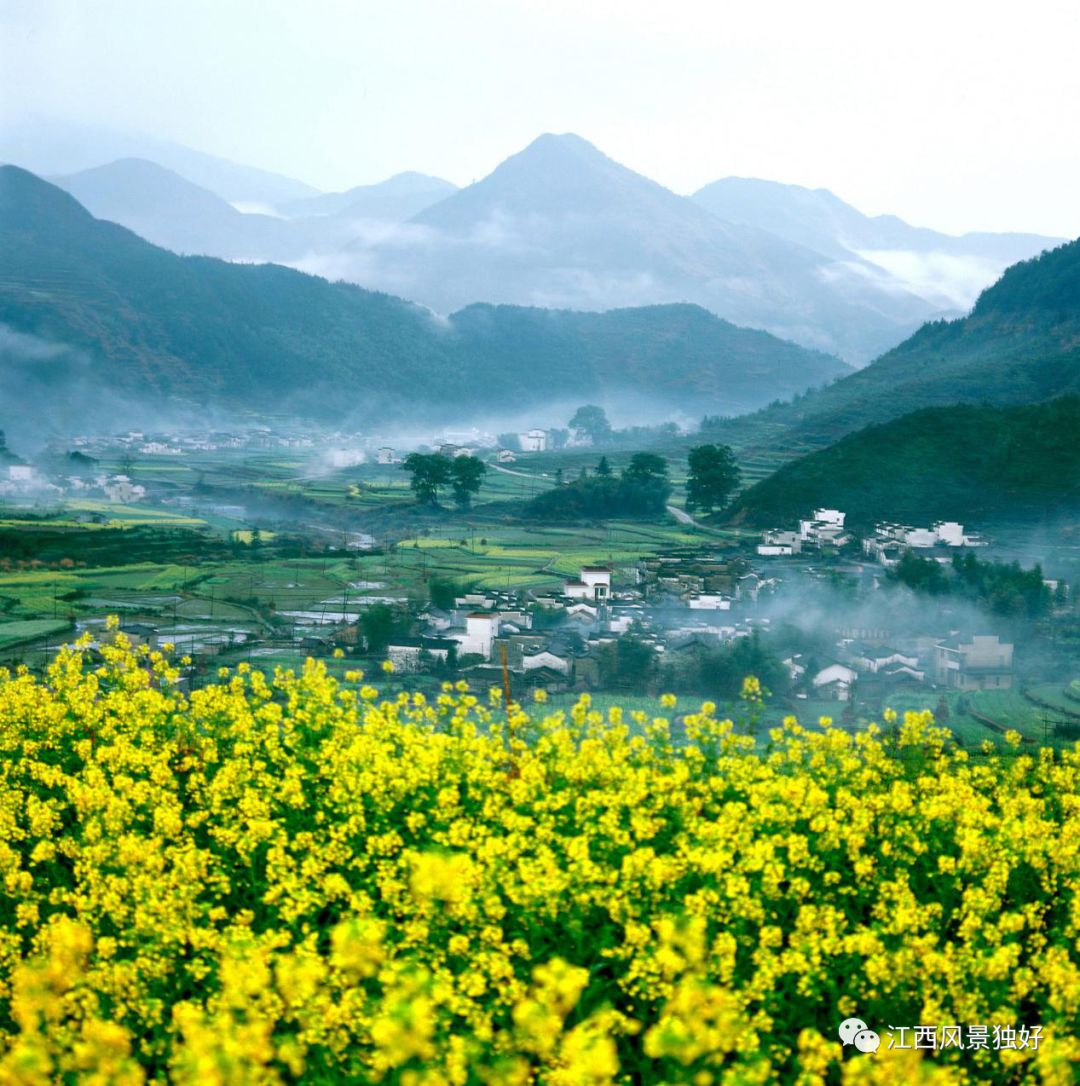 婺源西线最值得去的三个景点_婺源西线旅游景点_婺源西线旅游攻略