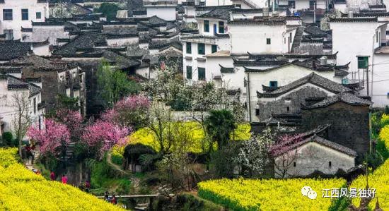 婺源西线最值得去的三个景点_婺源西线旅游景点_婺源西线旅游攻略