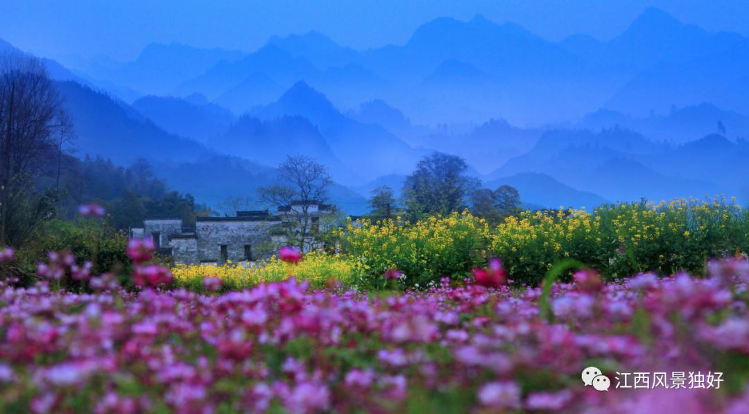 婺源西线旅游景点_婺源西线旅游攻略_婺源西线最值得去的三个景点