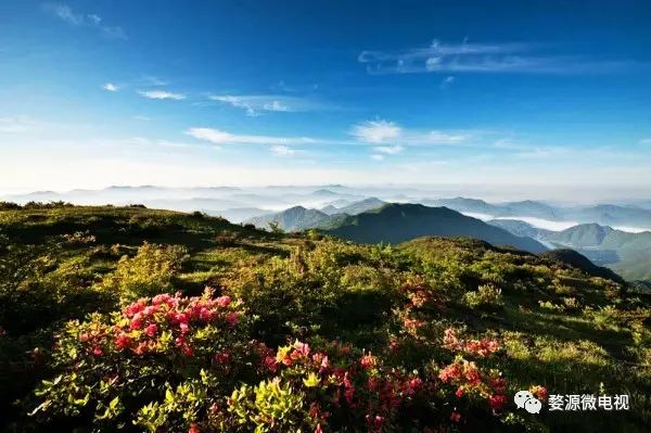 婺源西线旅游攻略_婺源西线旅游景点_婺源西线最值得去的三个景点