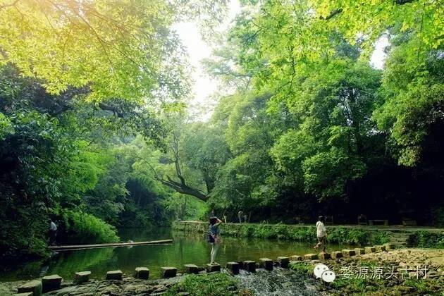 婺源西线旅游景点_婺源西线最值得去的三个景点_婺源西线旅游攻略