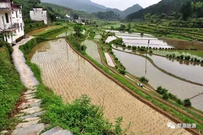 婺源西线旅游攻略_婺源西线最值得去的三个景点_婺源西线旅游景点
