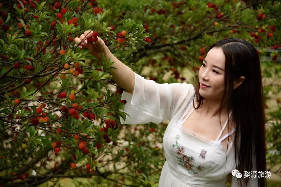 婺源西线旅游景点_婺源西线最值得去的三个景点_婺源西线旅游攻略