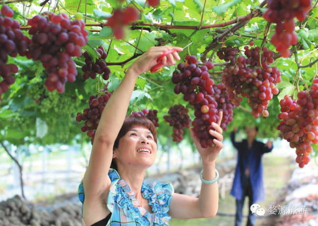 婺源西线最值得去的三个景点_婺源西线旅游攻略_婺源西线旅游景点