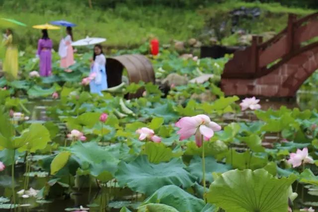 婺源西线旅游景点_婺源西线最值得去的三个景点_婺源西线旅游攻略