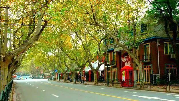 上海的衡山路在哪个区_上海衡山路旅游攻略_上海衡山路休闲街景点介绍