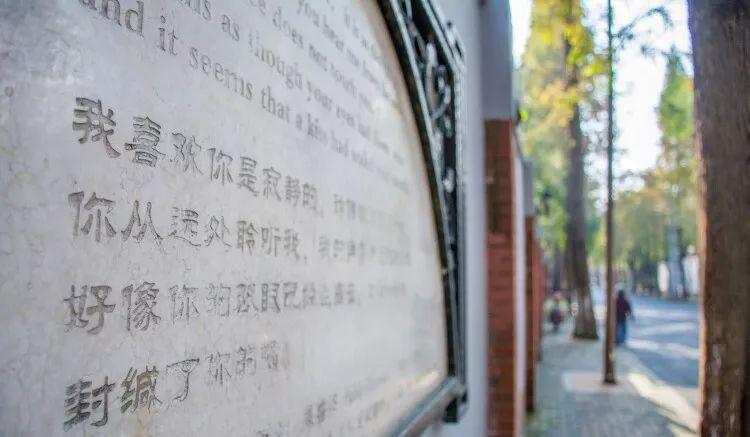 上海衡山路休闲街景点介绍_上海衡山路旅游攻略_上海的衡山路在哪个区