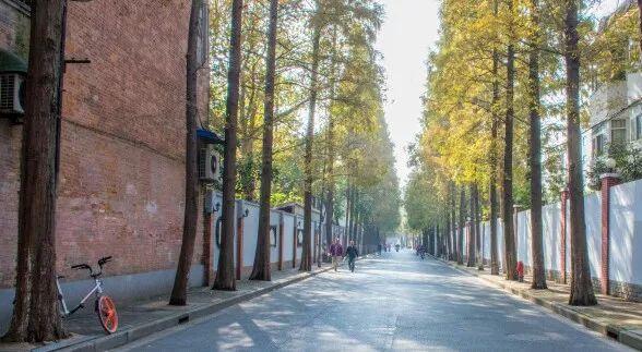 上海衡山路旅游攻略_上海的衡山路在哪个区_上海衡山路休闲街景点介绍