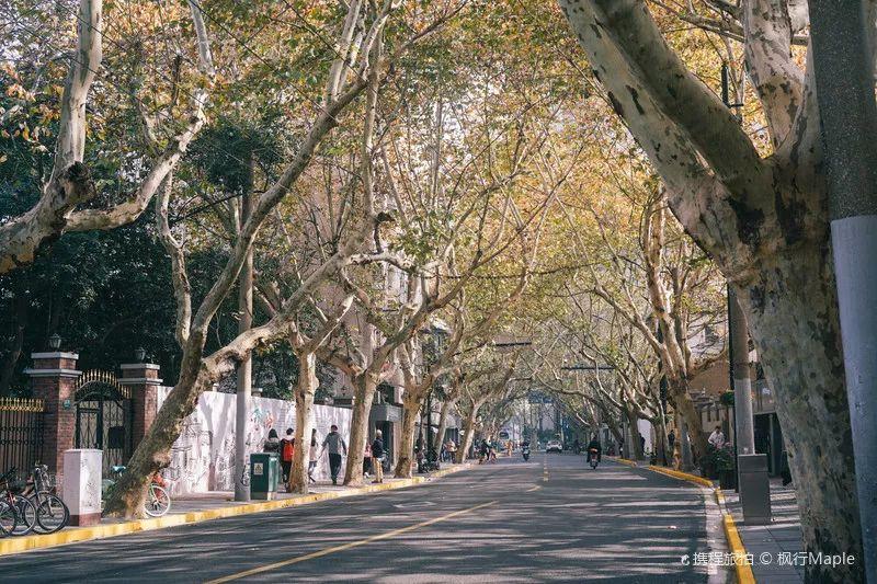 上海衡山路休闲街景点介绍_上海衡山路旅游攻略_上海的衡山路在哪个区