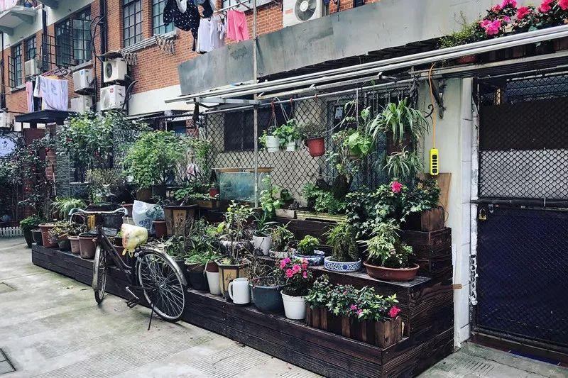 上海的衡山路在哪个区_上海衡山路休闲街景点介绍_上海衡山路旅游攻略