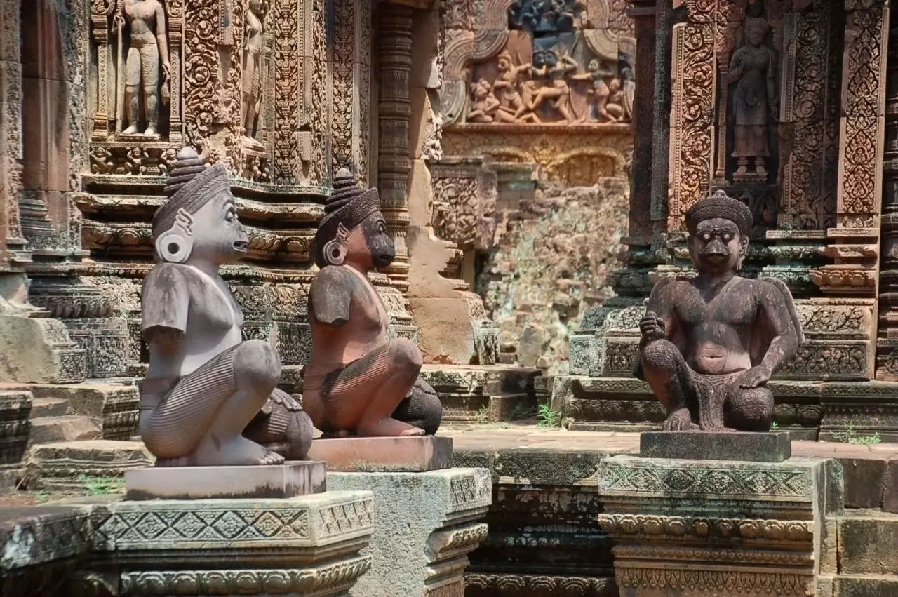 自驾窝窝旅行软件_窝窝旅游哪款好_旅游攻略app蚂蜂窝自由行手机版