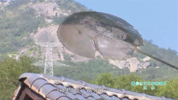 莆田凤凰山风景区在哪里_莆田凤凰山旅游攻略_莆田凤凰山公园