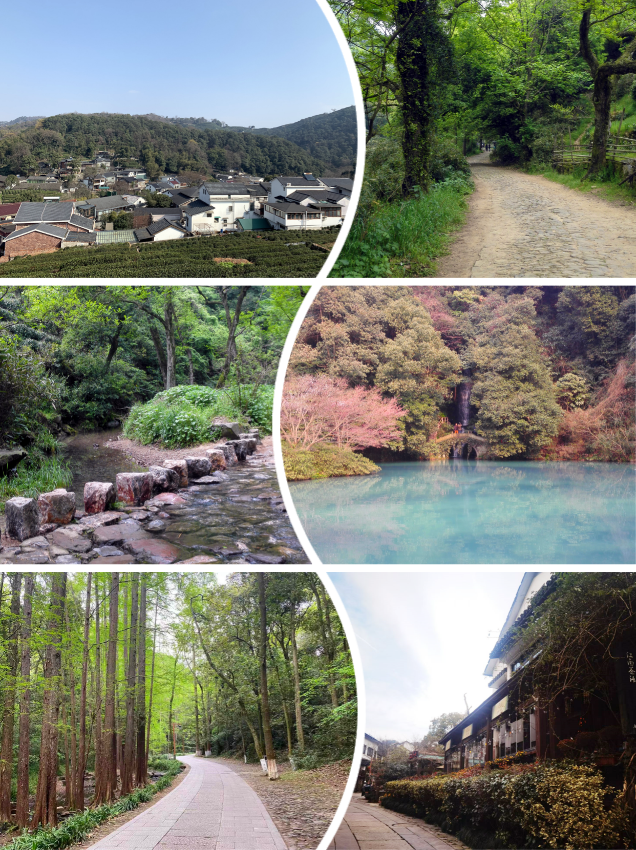 杭州九溪烟树游玩攻略_杭州九溪老烟树_杭州九溪烟树旅游攻略