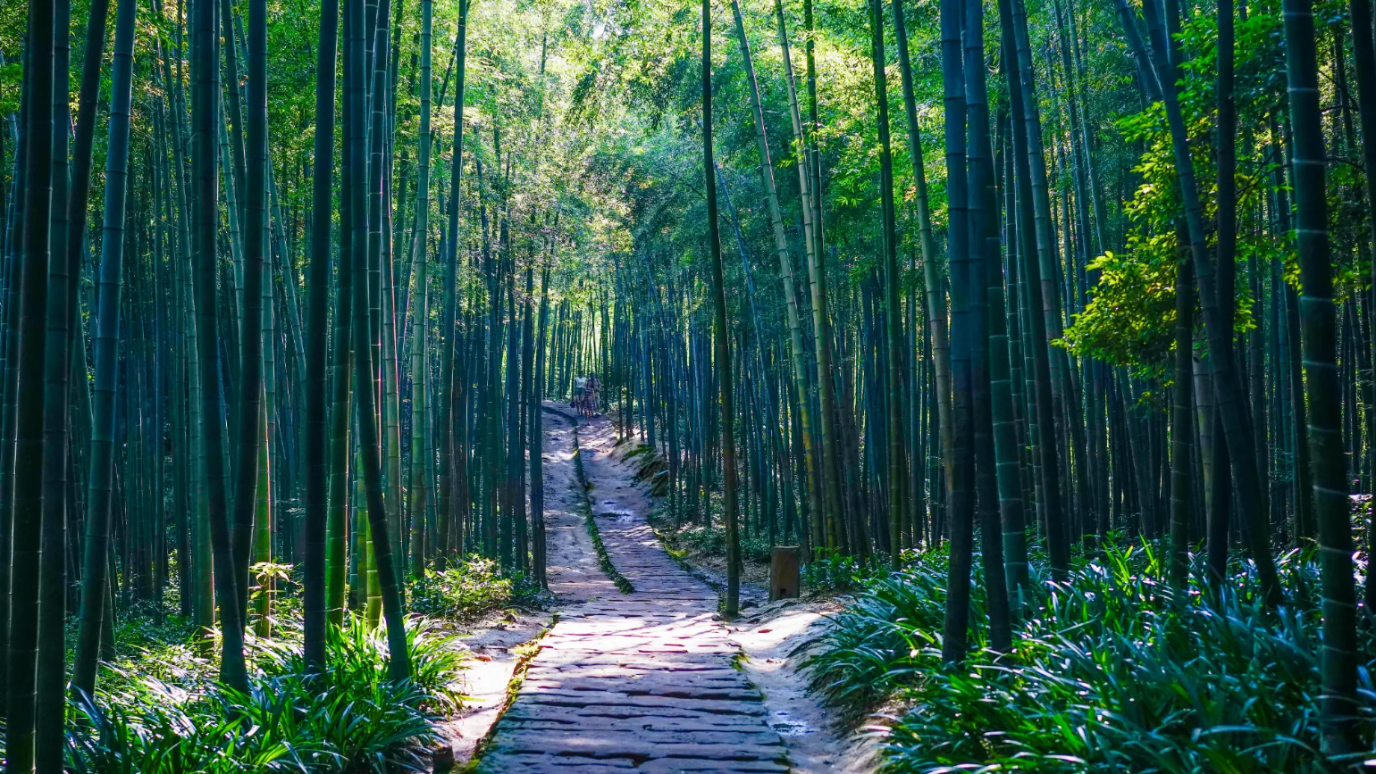 竹海旅游攻略_攻略旅游竹海路线_竹海一日游