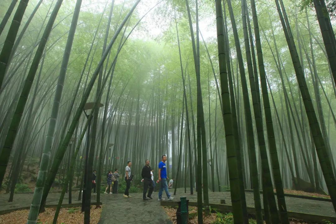 重庆到龙缸旅游攻略_攻略重庆旅游到龙缸山怎么走_攻略重庆旅游到龙缸湖怎么走