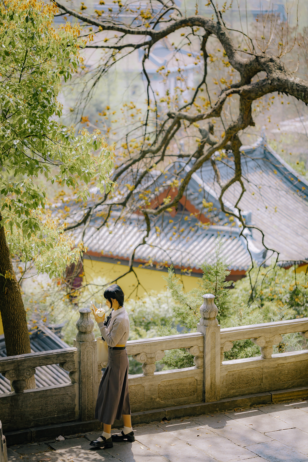 南京十一旅游攻略_“南京旅游攻略”_攻略南京旅游路线