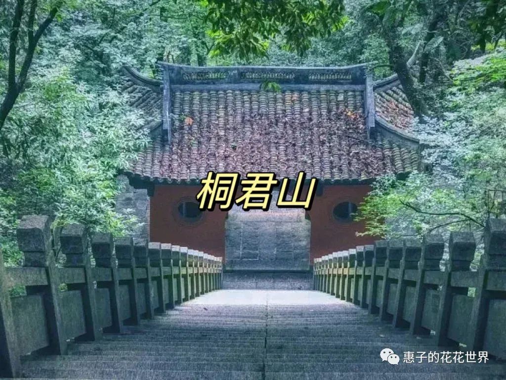 杭州桐庐旅游景点_杭州桐庐旅游景点有哪些景点_杭州桐庐旅游攻略