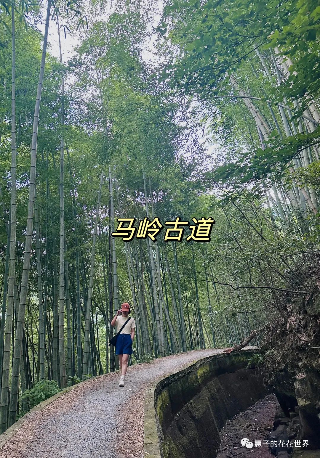 杭州桐庐旅游攻略_杭州桐庐旅游景点有哪些景点_杭州桐庐旅游景点