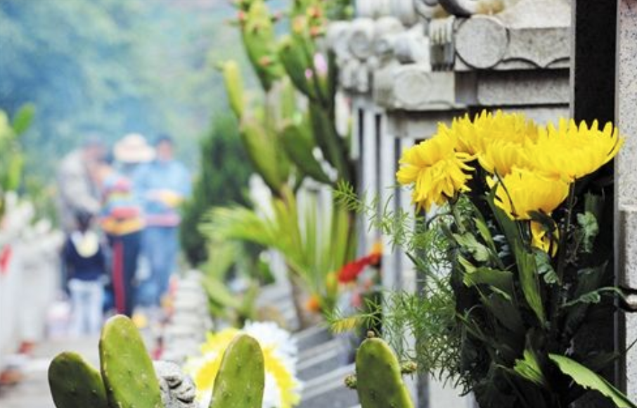 天津绿博园旅游攻略_天津绿博园门票_天津绿博园的风景和介绍
