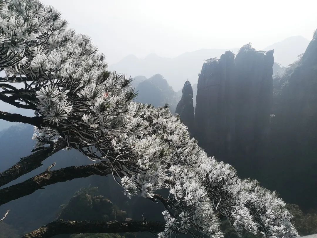 三清山有火车站时刻表_三清山火车票_乘火车游三清山旅游攻略