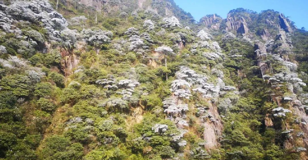 乘火车游三清山旅游攻略_三清山火车票_三清山有火车站时刻表