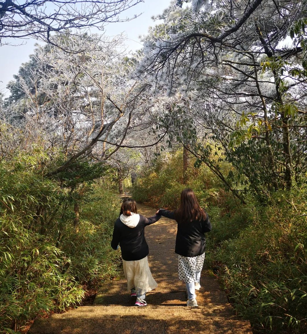 三清山火车票_乘火车游三清山旅游攻略_三清山有火车站时刻表