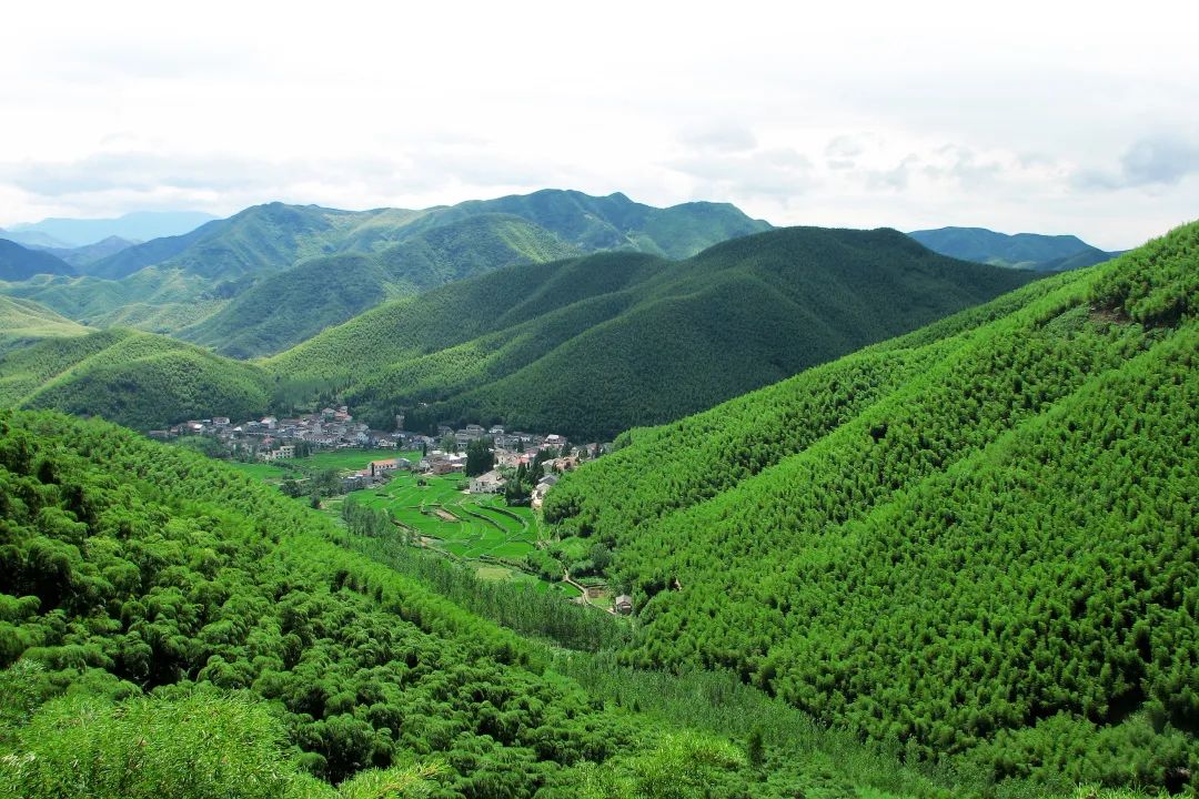 德清莫干山旅游攻略_德清莫干山门票价格_德清莫干山风景区攻略