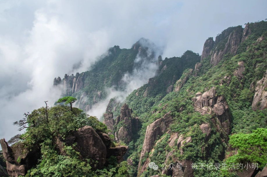 三清三旅游攻_三清山2日游旅游攻略_三清山旅游攻略自驾游二日游