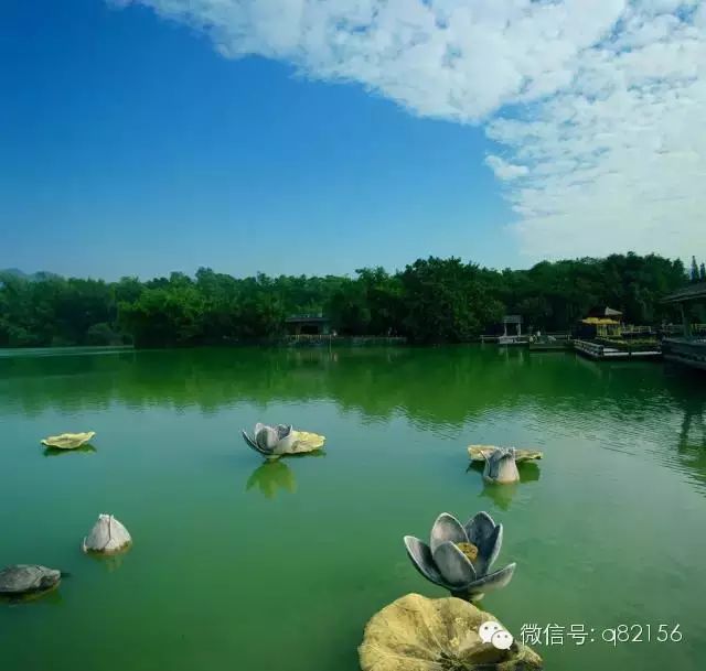 攻略增城旅游水寨白天可以去吗_广州增城水寨_增城白水寨2天旅游攻略